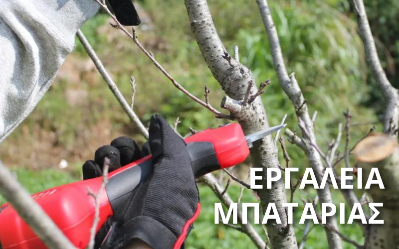 ΕΡΓΑΛΕΙΑ ΜΠΑΤΑΡΙΑΣ